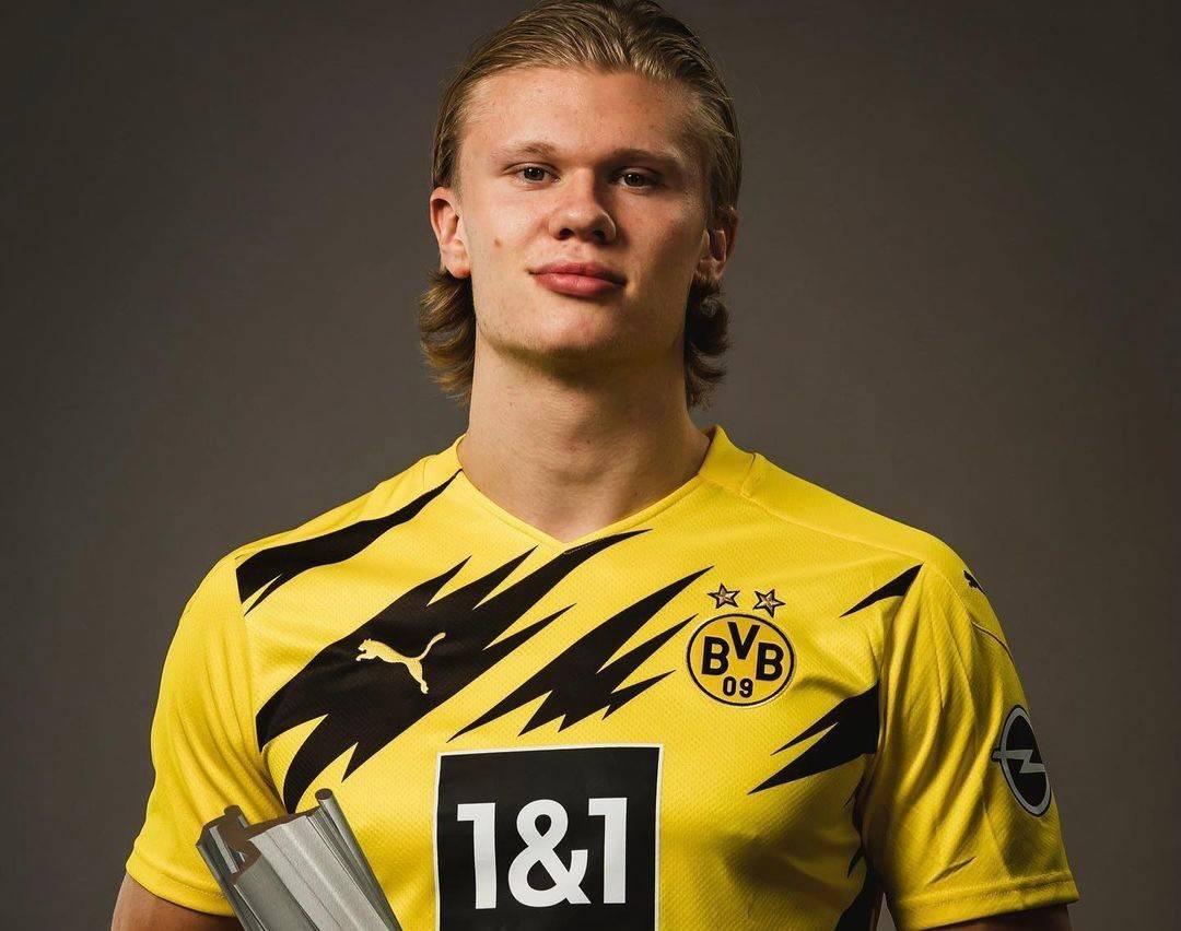 贾顺浩入围留英校友会杰出校友候选名单，12月6日举行颁奖礼（贾顺浩入选留英校友会杰出校友候选，颁奖礼定于12月6日举行）